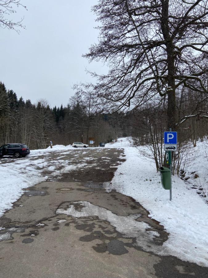 Gemuetliche Ferienwohnung Evieline In Todtmoos Exterior foto